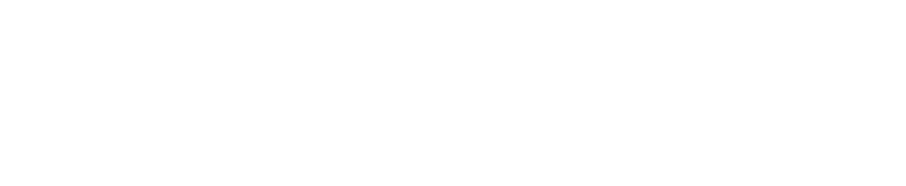 Race Factory Logo, White